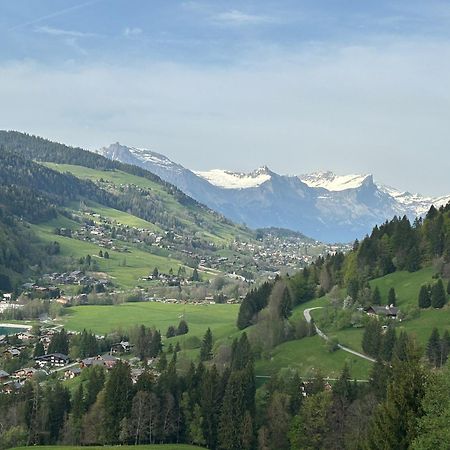 Chalet Saint Victor, Praz Sur Arly Kültér fotó